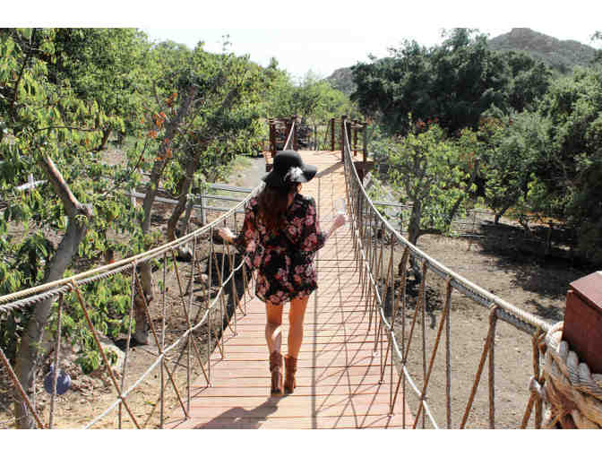 Malibu Wine Safaris: Two (2) Passes to Malibu Wine Safaris