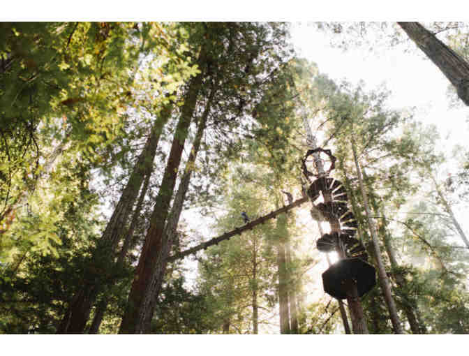 Sonoma Canopy Tours: Gift Certificate for Two Weekday Flights