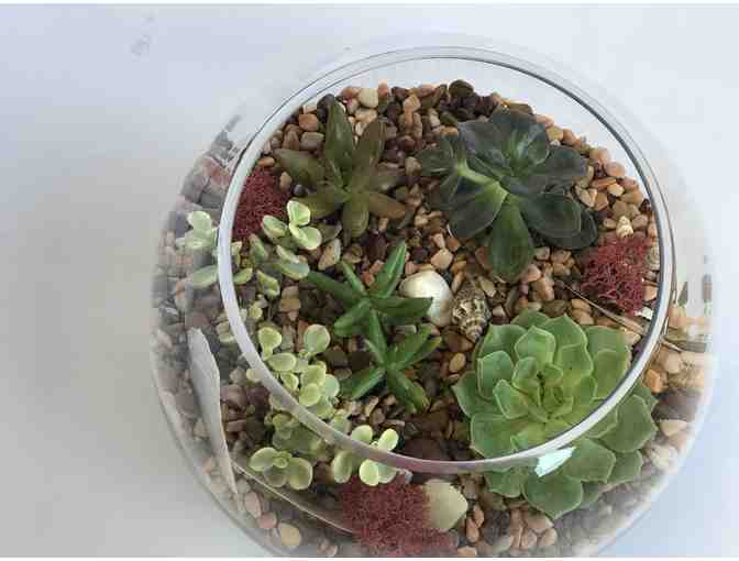 STAFF-CREATED: Lori's Handmade Succulent Large Terrarium