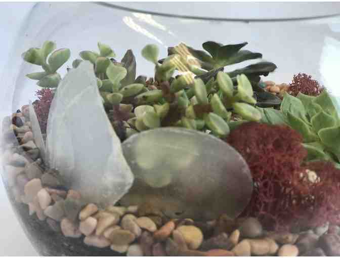STAFF-CREATED: Lori's Handmade Succulent Large Terrarium