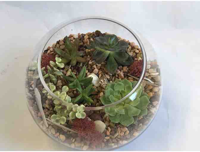 STAFF-CREATED: Lori's Handmade Succulent Large Terrarium