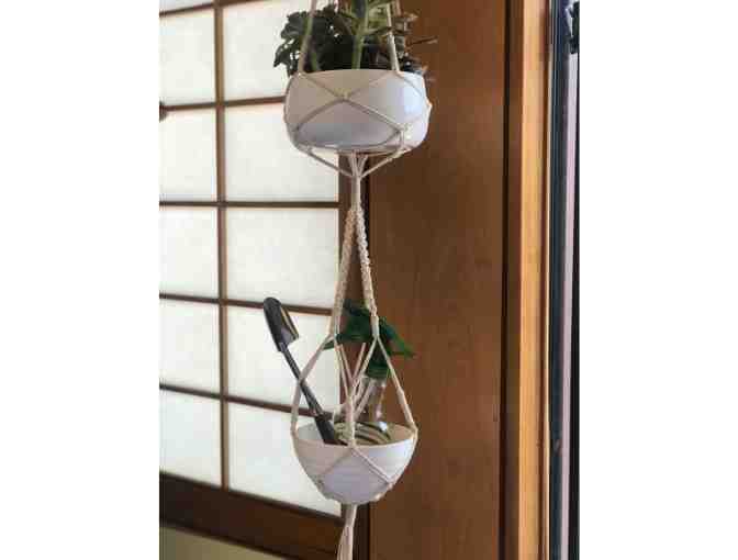 STAFF-CREATED: The Indoor Gardener's Starter Kit