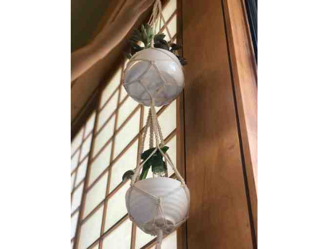 STAFF-CREATED: The Indoor Gardener's Starter Kit