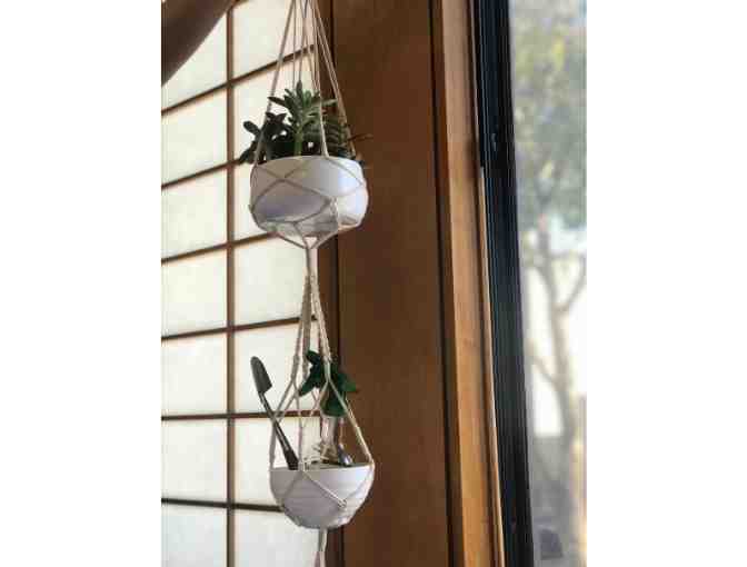 STAFF-CREATED: The Indoor Gardener's Starter Kit