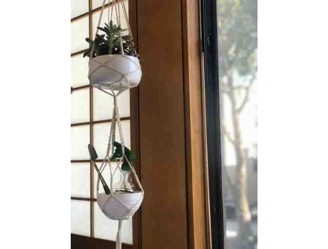 STAFF-CREATED: The Indoor Gardener's Starter Kit