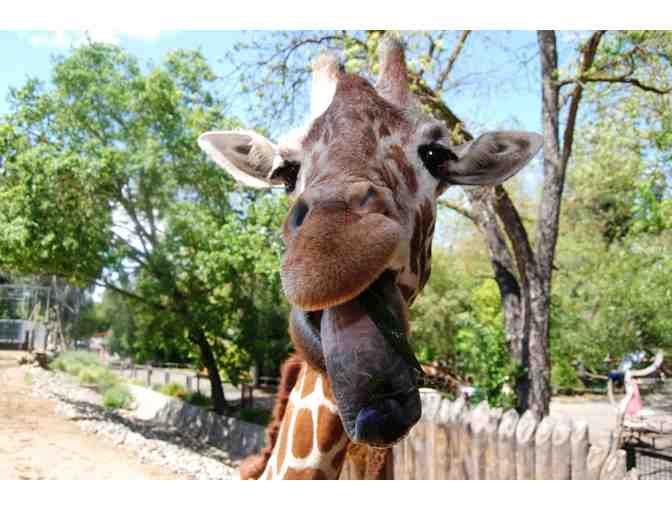 Sacramento Zoo: Admission for Four Family Pass