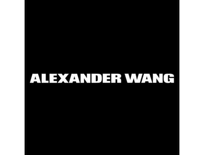 Shadow (Alexander Wang) - Mohair Stripe Rugby Dress