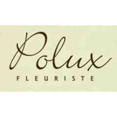 Polux Fleuriste
