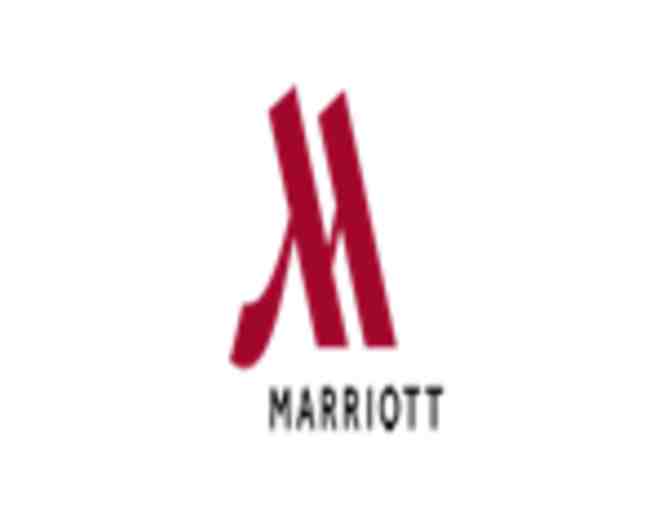 Detroit Metro Airport Marriott Hotel Stay