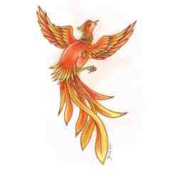 Phoenix Health Services