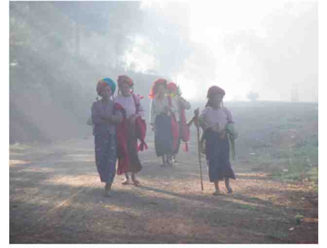 Elliot Burg Custom Made Photograph