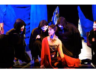 Baryshnikov Arts Center Tickets to the Opera Omnia