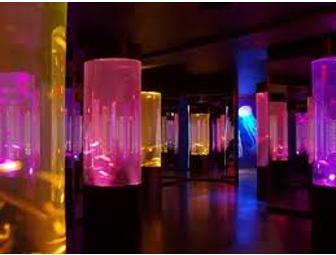 Family Four Pack to SeaLife MN