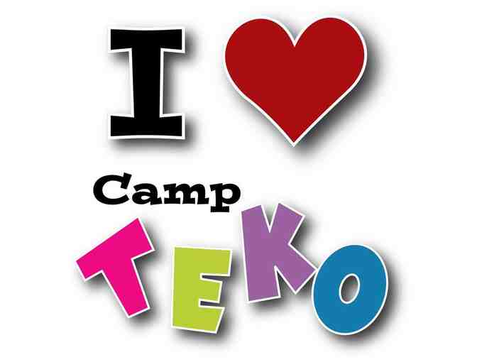 Camp TEKO - $300 off one session - Photo 1