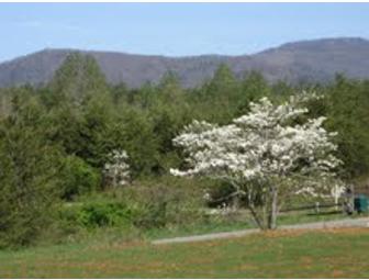 Weekend at Lake Lure, NC
