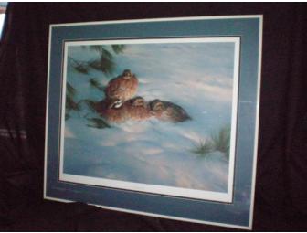 Numbered and Signed by the artist Nancy Howe 'Nestled In'