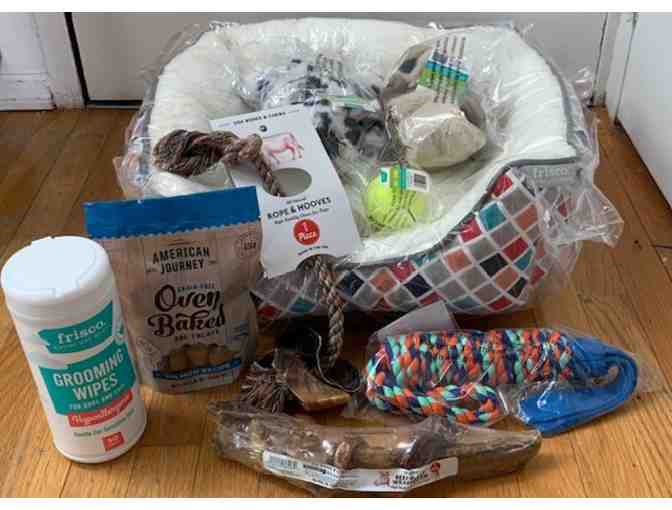 Chewy - For your special Dog!