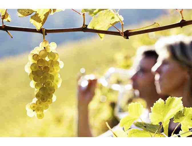 Napa Wine Valley Tour Package in Calistoga