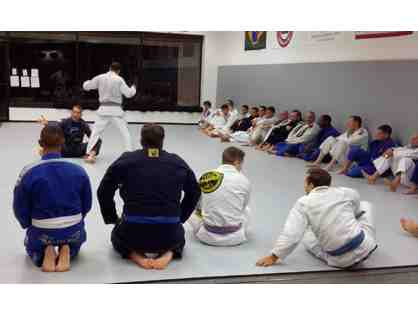 Jiu Jitsu Gym Package