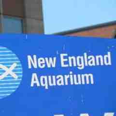 New England Aquarium