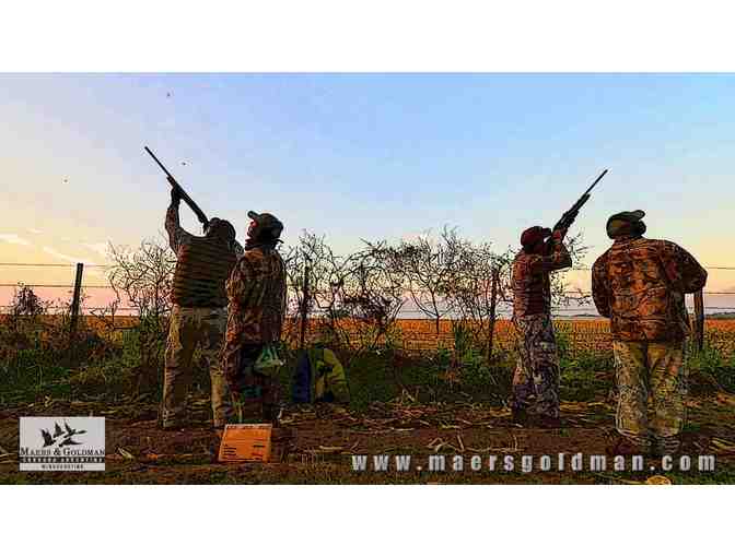 Dove Hunt Experience in Cordoba, Argentina for up to 5 Hunters