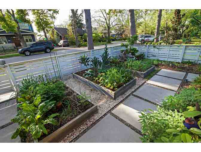 2 Citrus Trees + Installation by Edible Earth Resources - Photo 2