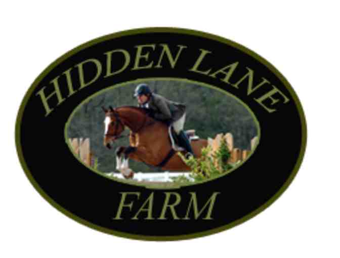 4 Private English Riding Lessons at Hidden Lane Farm