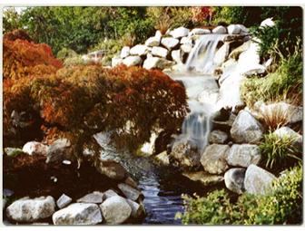 Landscape by Design Inc.- Landscape Consultation and Bio Estimate