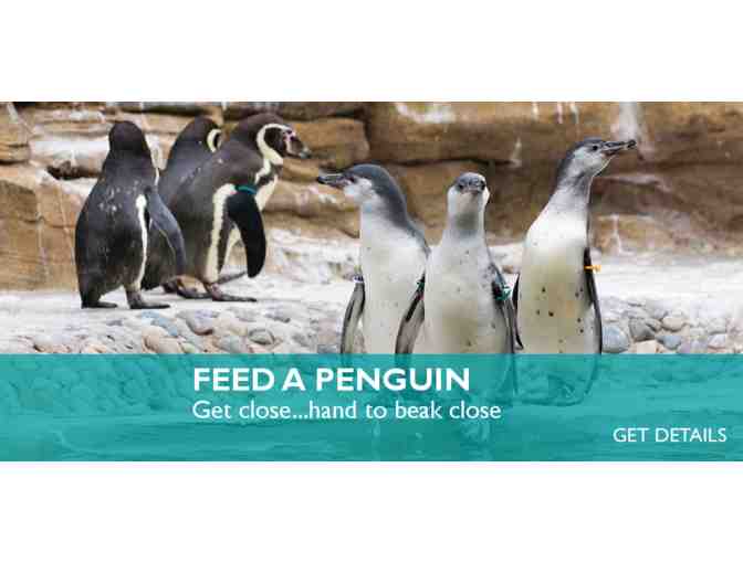 WOODLAND PARK ZOO - Family Fun Pack!