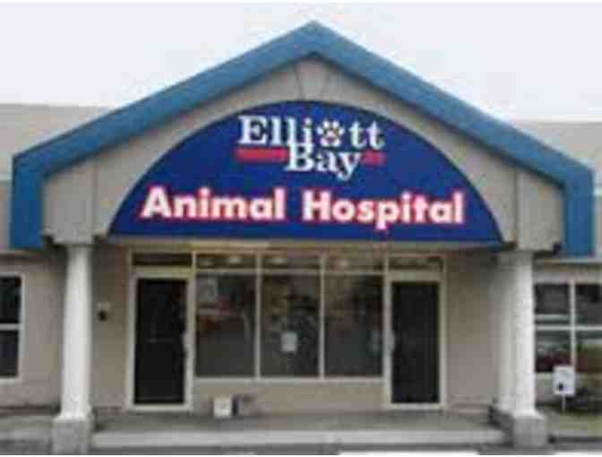 Elliott Bay Animal Hospital Gift Certificate