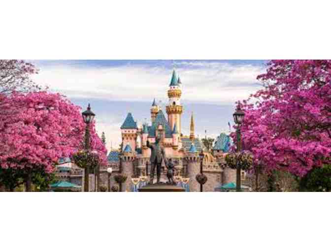 Disneyland One-Day Park Hopper Tickets For 4