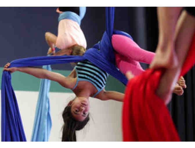 SANCA - Introductory Circus Class For Four