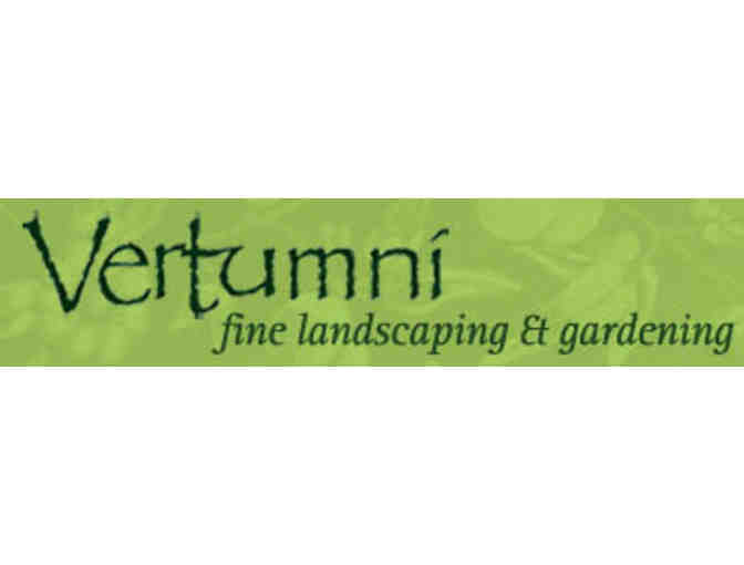 VERTUMNI - Landscaping & Gardening Consultation and Plant List