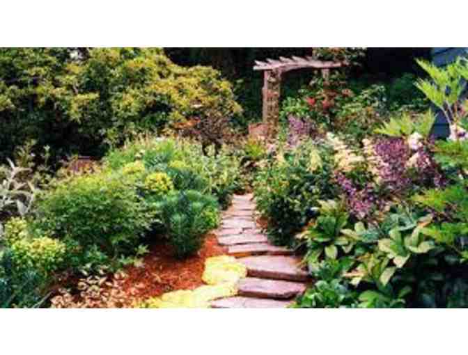 VERTUMNI - Landscaping & Gardening Consultation and Plant List