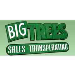 Big Trees, Inc.