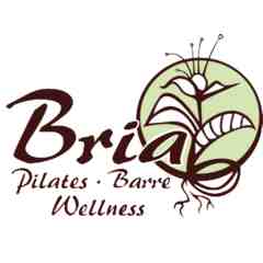 Bria Pilates & Wellness Studio