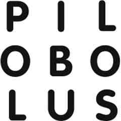 Pilobolus