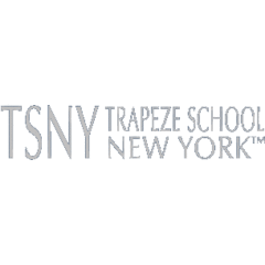 Trapeze School New York