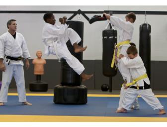 2 Months Free Martial Arts Lessons