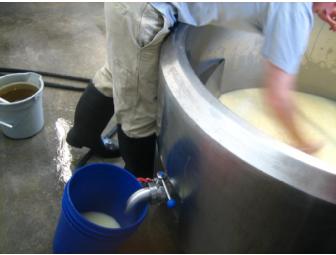 Be a Cheesemaker for a Day