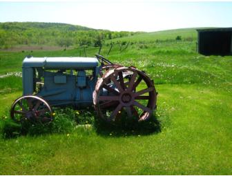 Be a Cheesemaker for a Day
