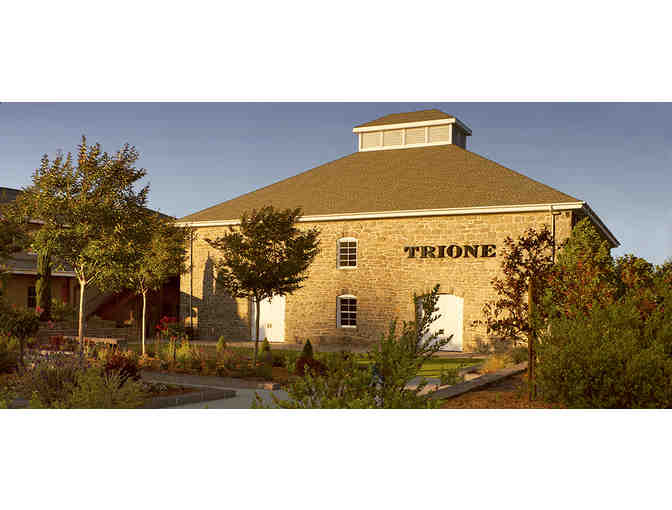 Six Person VIP Tour and Tasting at Trione Vineyards and Winery
