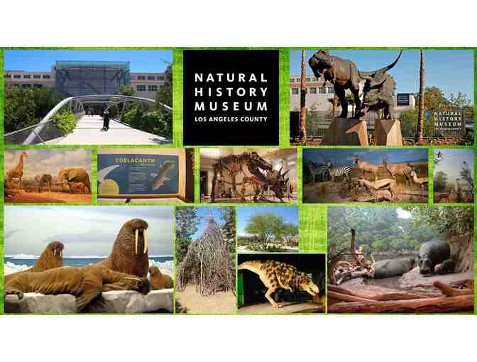 One Year Family Level Membership at the Natural History Museum of LA