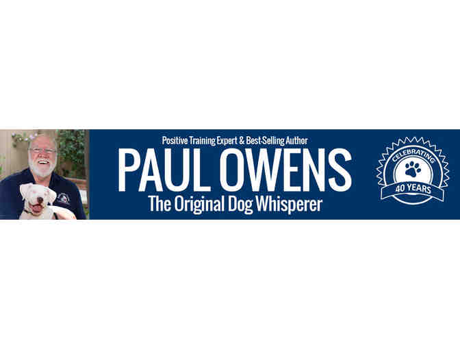 One 90 Minute Dog Training Session with Professional Dog Trainer Paul Owens