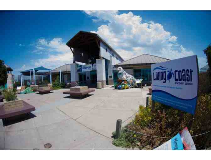 Admission for 2 adults and 2 children to the Living Coast Discovery Center