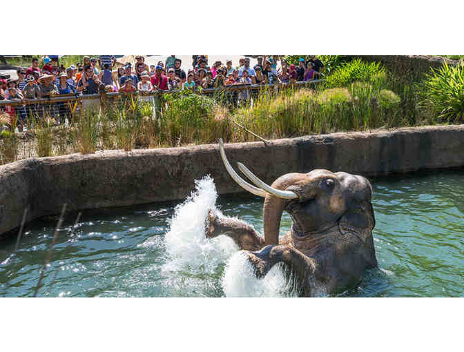 Docent Guided Cart Tour for 4 of the Los Angeles Zoo & Botanical Gardens