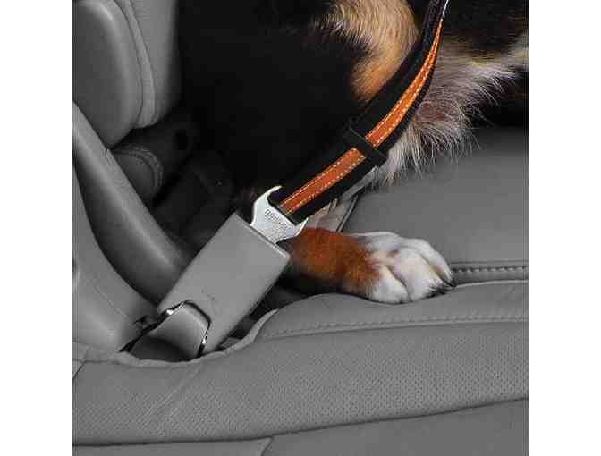 Kurgo Complete Road Trip Package for your Dog