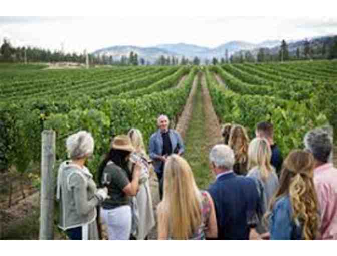 2 passes for a wine tour of beautiful Napa or Sonoma counties with Platypus Wine Tours - Photo 3