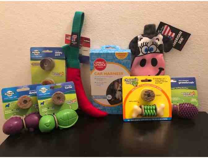 Small Dog Package with Car Harness, busy buddy, squeaker & crinkle toys