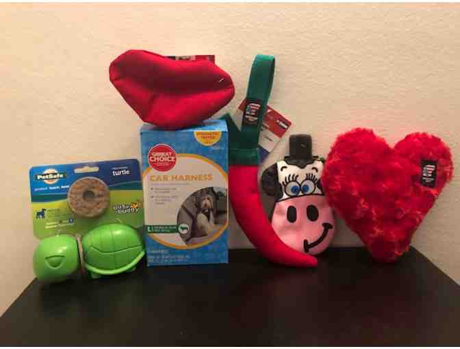Medium- Large Dog Package with Car Harness, busy buddy, squeaker & crinkle toys